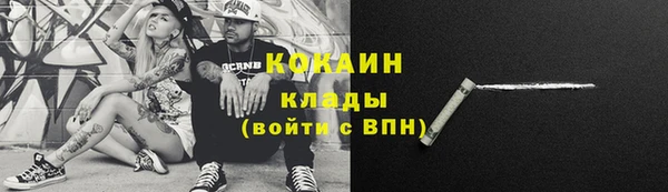 сатива Белая Холуница