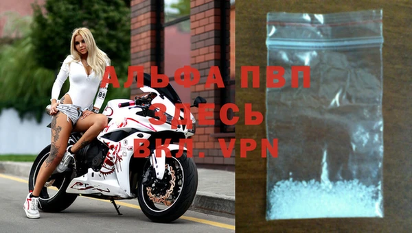 PSILOCYBIN Верхний Тагил