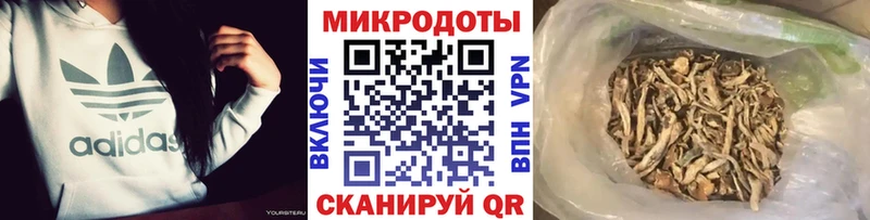 Галлюциногенные грибы Cubensis Весьегонск